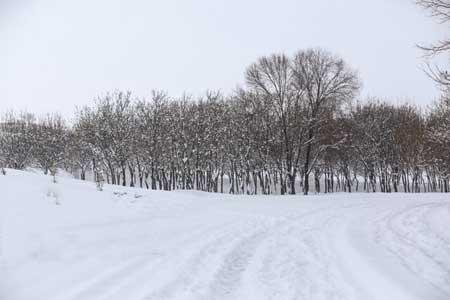 بارش برف در 13 استان ، کوهنوردی نکنید