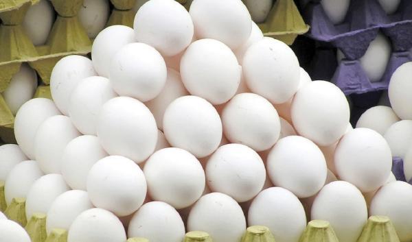 افت قیمت تخم مرغ در بازار به زیر نرخ مصوب